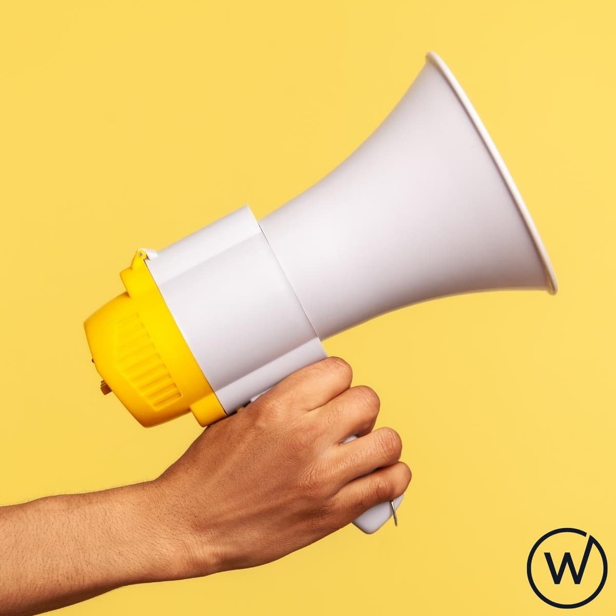 Gráfico comparativo entre tráfico SEO y campañas pagadas